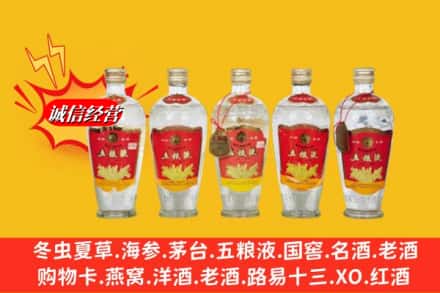 南充市阆中回收老五粮液