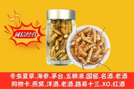 南充市阆中回收散虫草