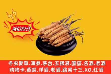 南充市阆中名酒回收冬虫夏草.jpg